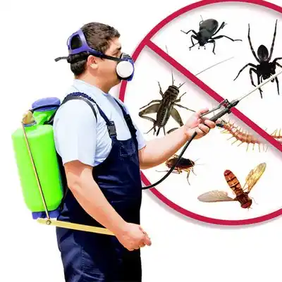 pest control Genoa